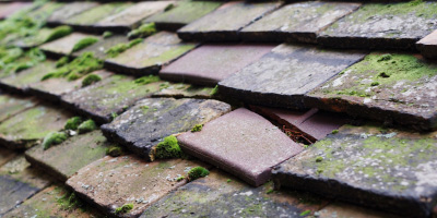 Glandy Cross roof repair costs